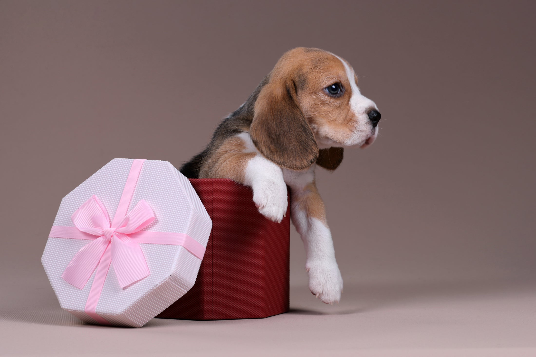 Thoughtful Gifts Start with Intention