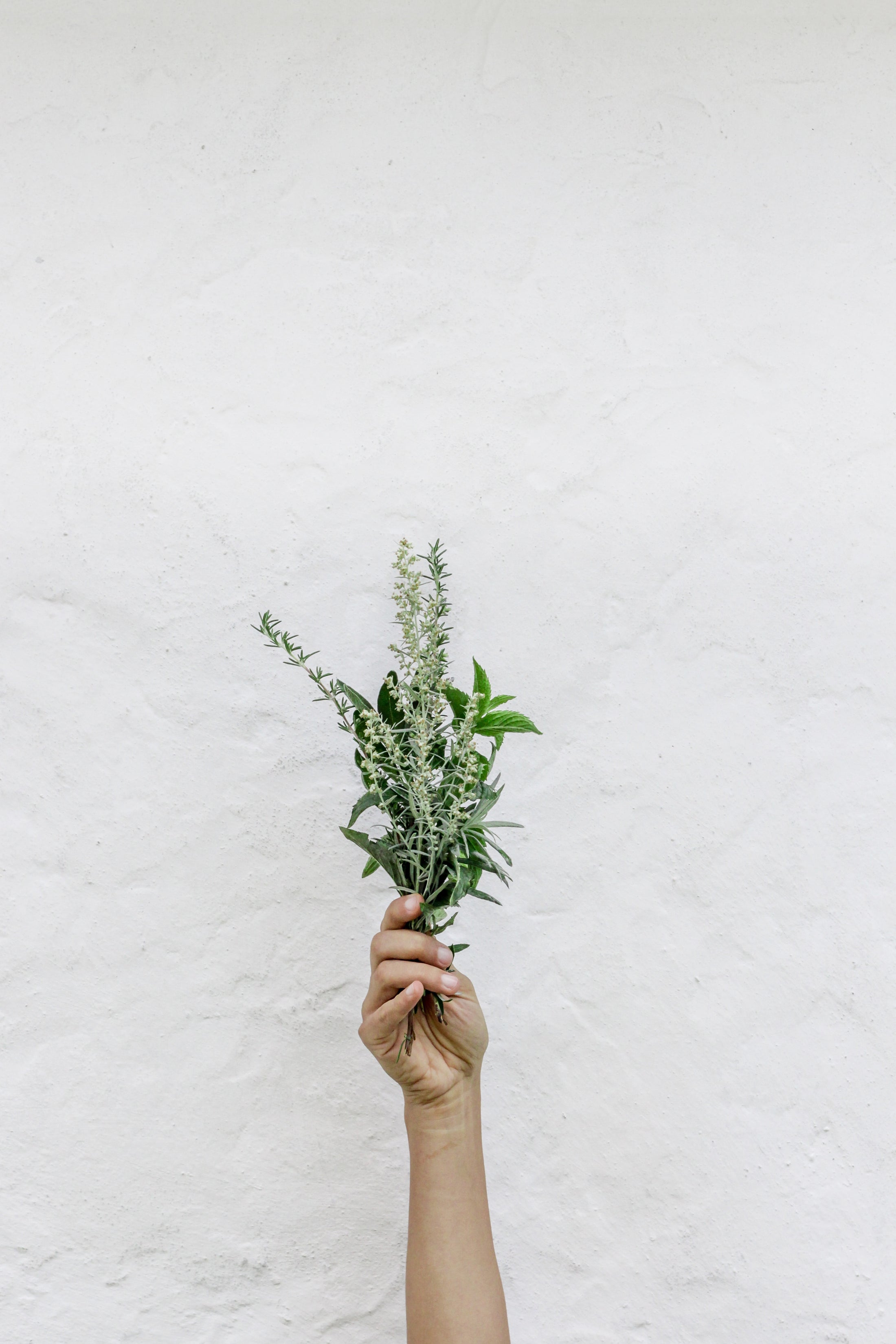 What Are Adaptogens and How Do They Improve Your Skin?