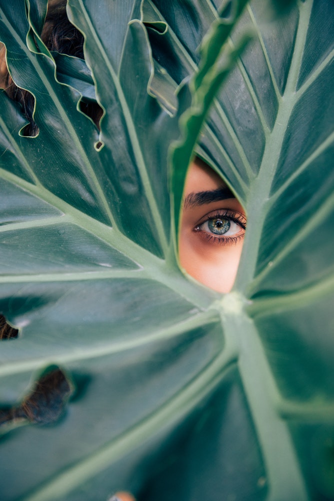Integrative Beauty: The Skin, Mind & Body Connection