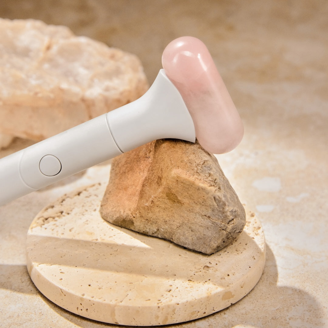 A single green leaf against a white background.