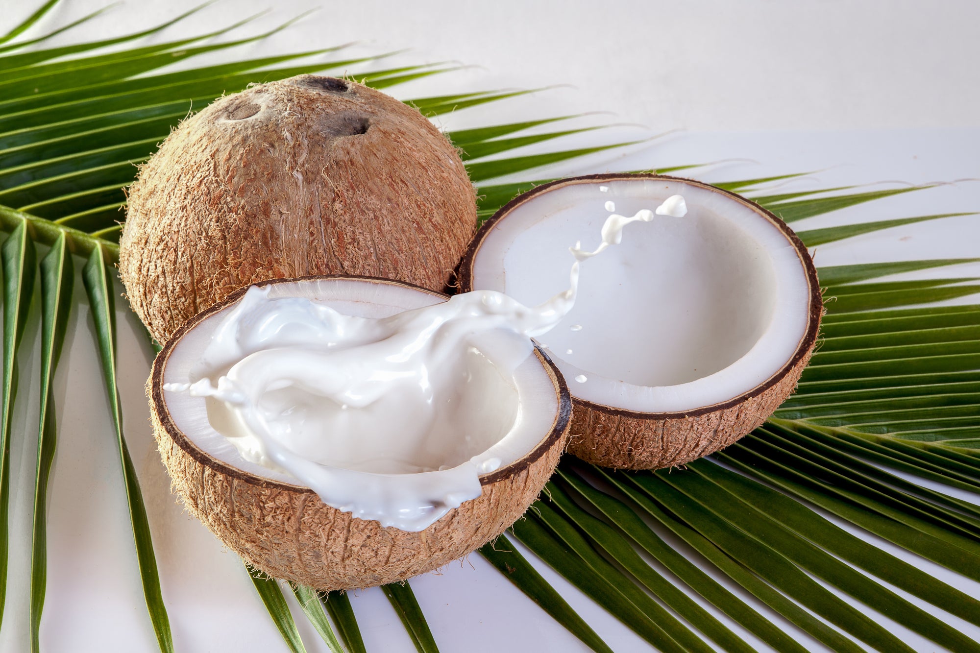 Benefits of Organic Coconut Milk for Skin and Hair