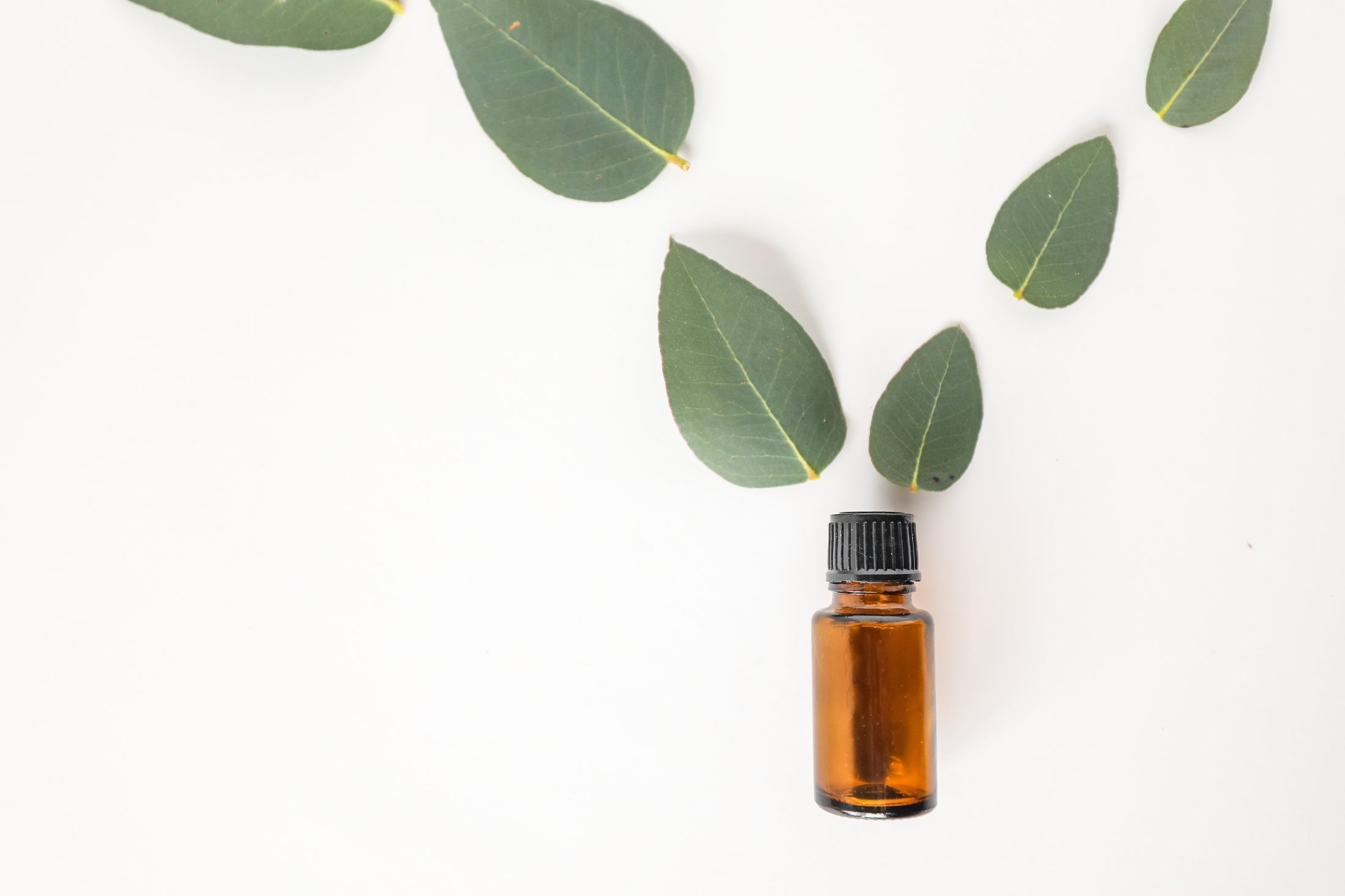 the benefits of frankincense oil