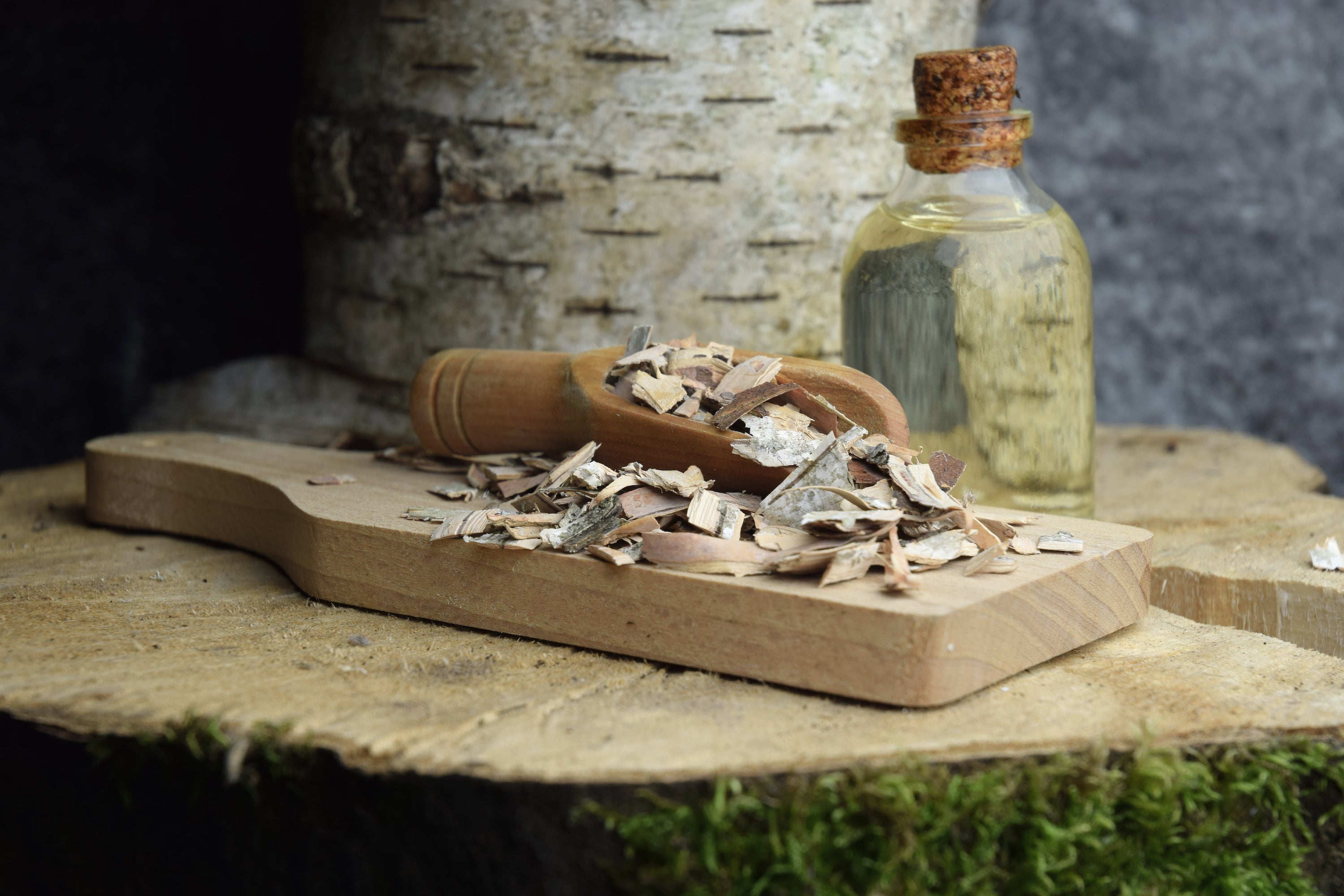 Birch Bark Extract benefits