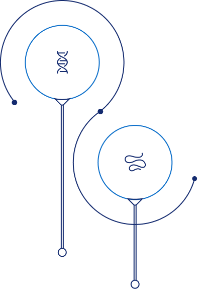 Step 6